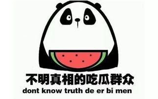 有吃瓜群吗